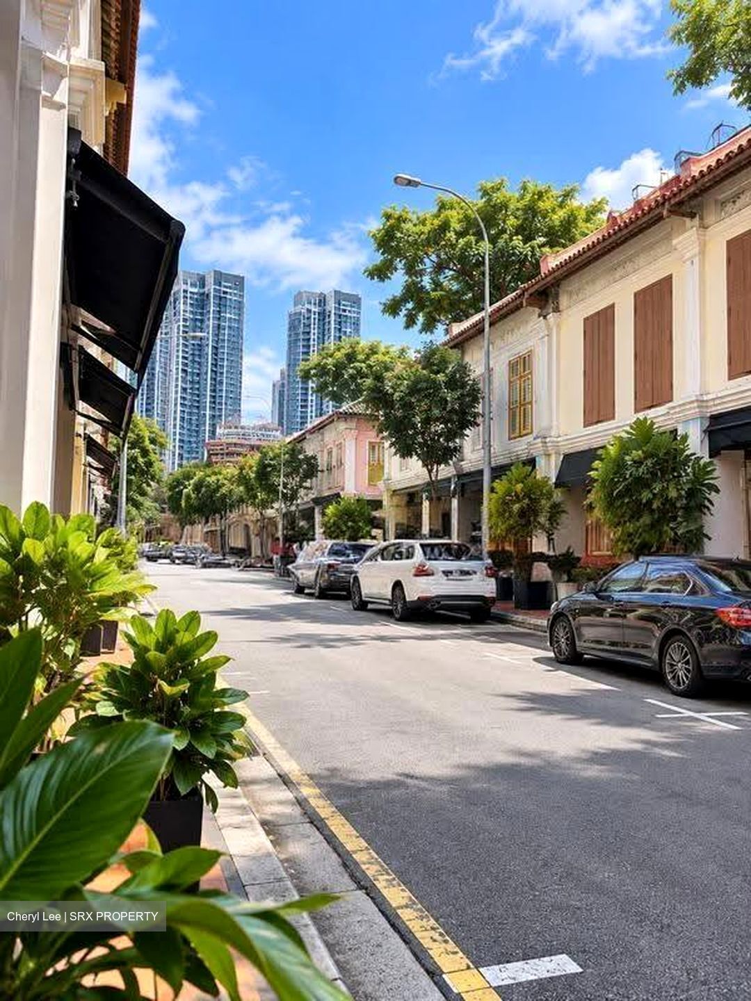 Little India Conservation Area (D8), Shop House #614432231
